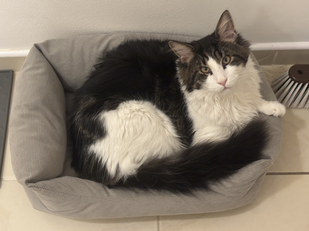 Michal👮🏻SATRAPA