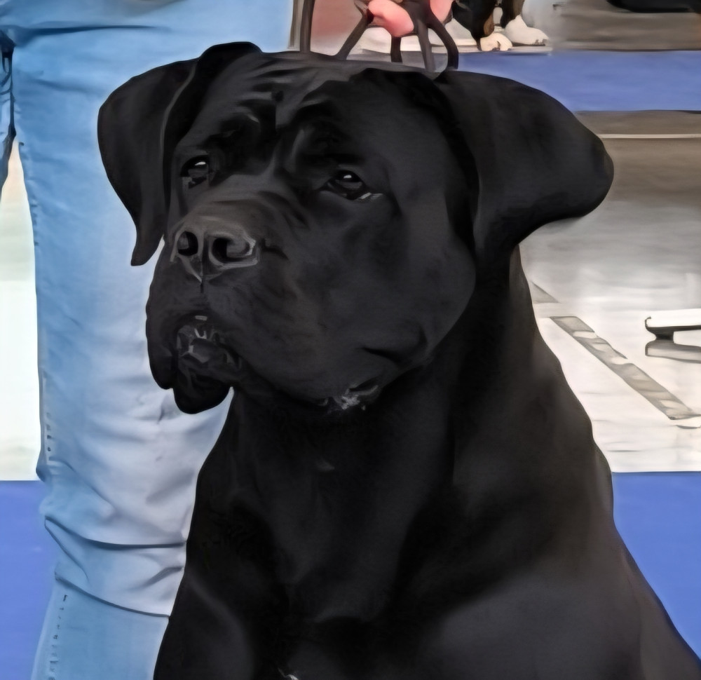 Stanislav Kudiovský