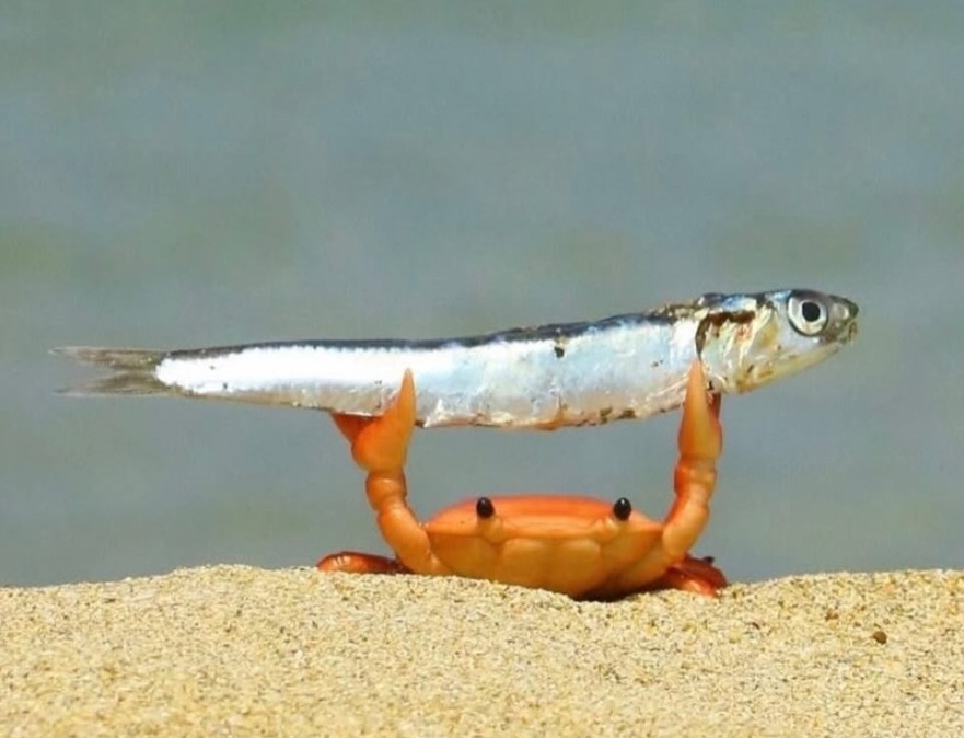 Bětušík Smrke🍀🤙