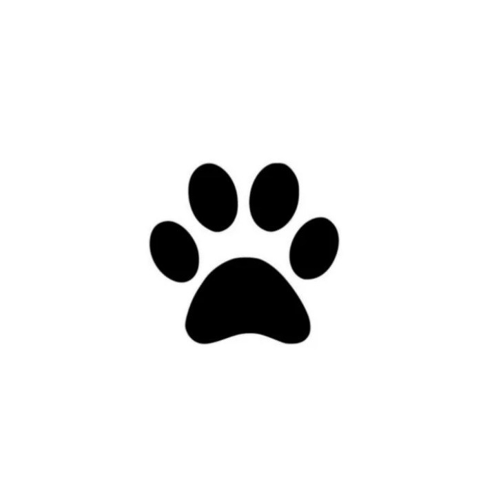 Hudy🐾