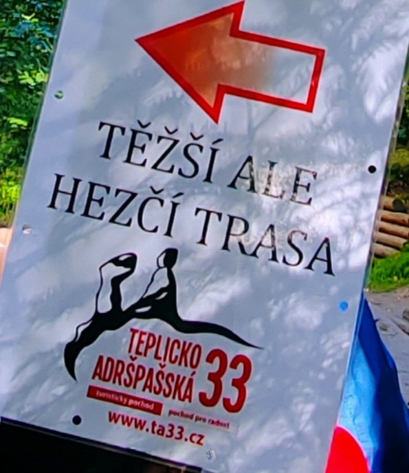 Markéta Synková