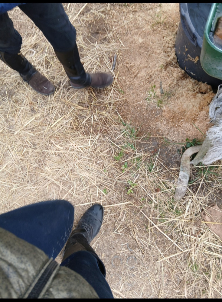 štěpánka Bechyňová