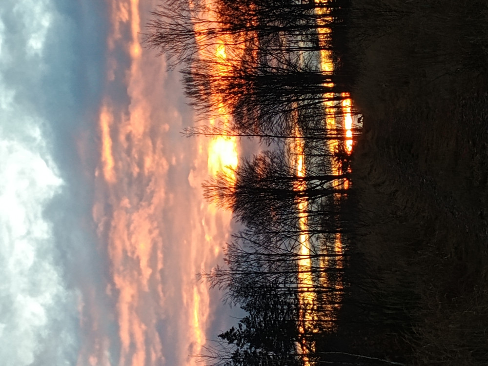 Kateřina Chaloupková