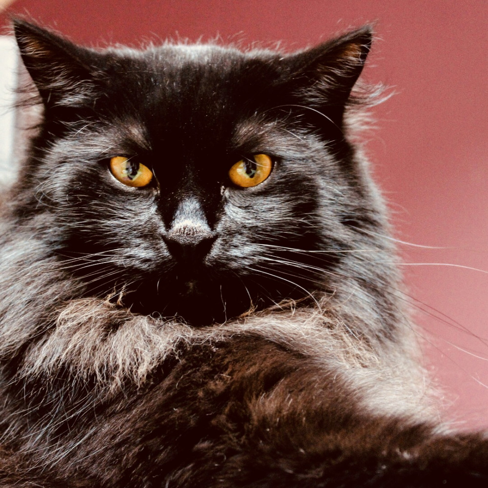 Jitka Malá Mašková