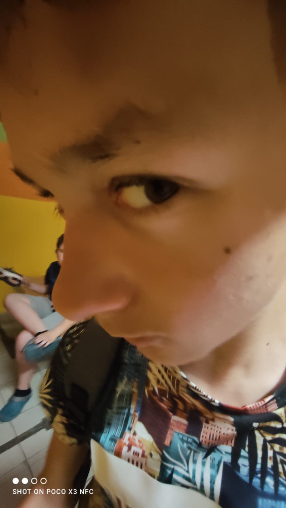 Sláňa