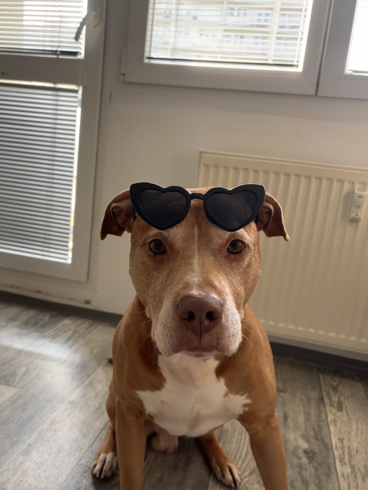 Karolína Šturmová