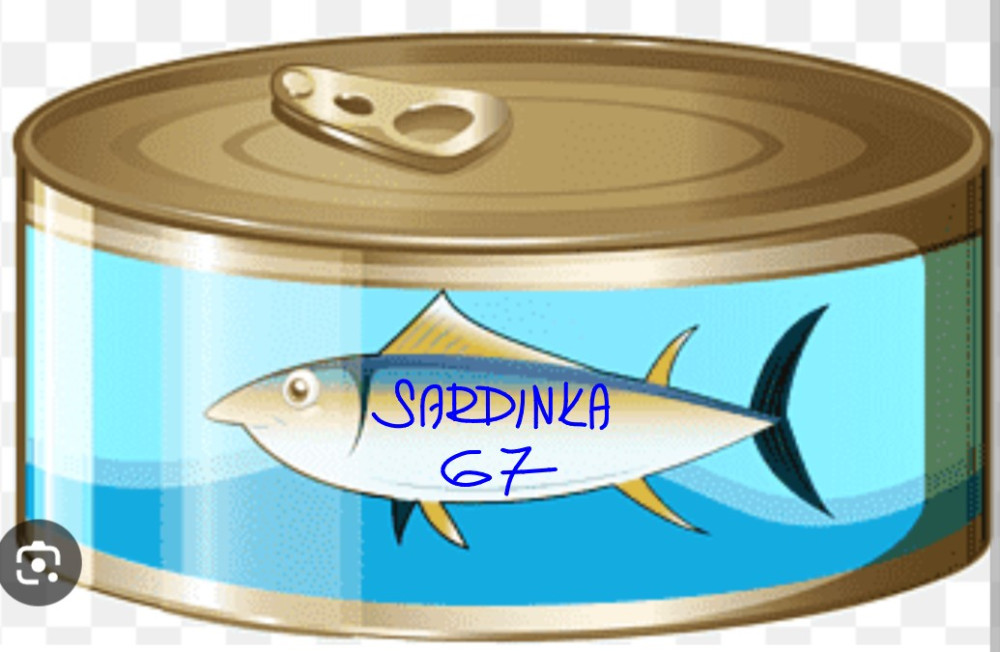 Sardinka 67