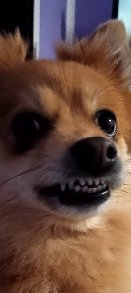 Markéta Kučíková