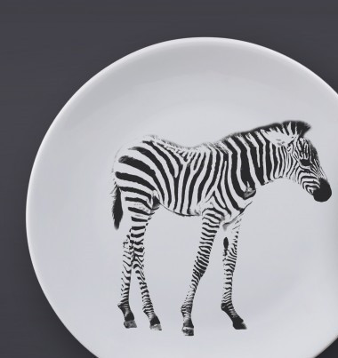 Zebra v porcelánu