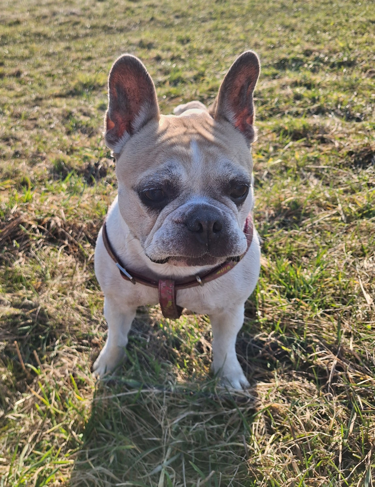 Tereza Růžičková