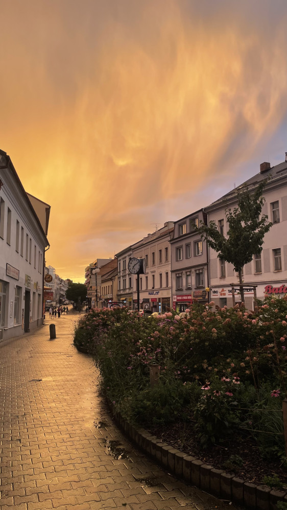 Kačka M.