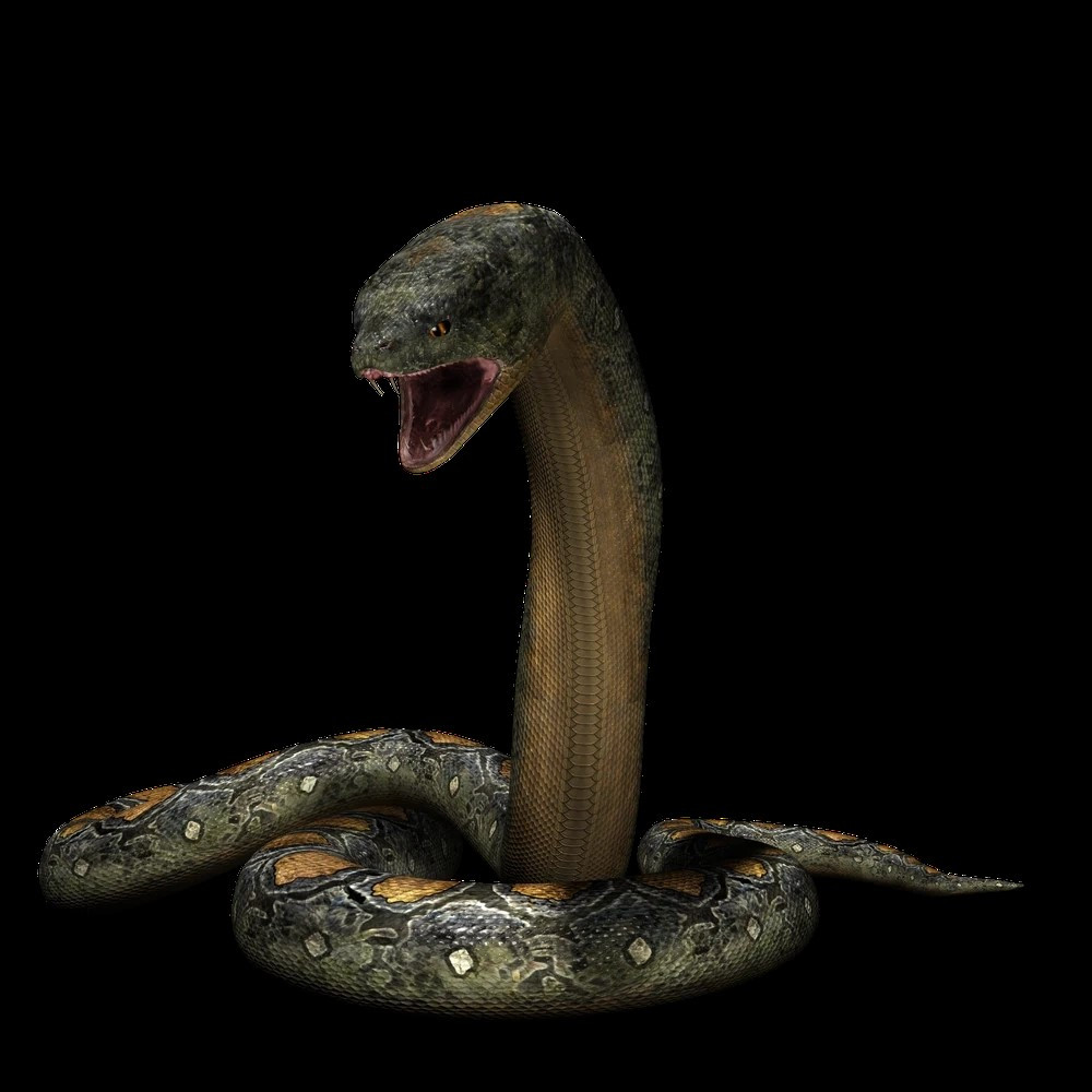 Titanoboa