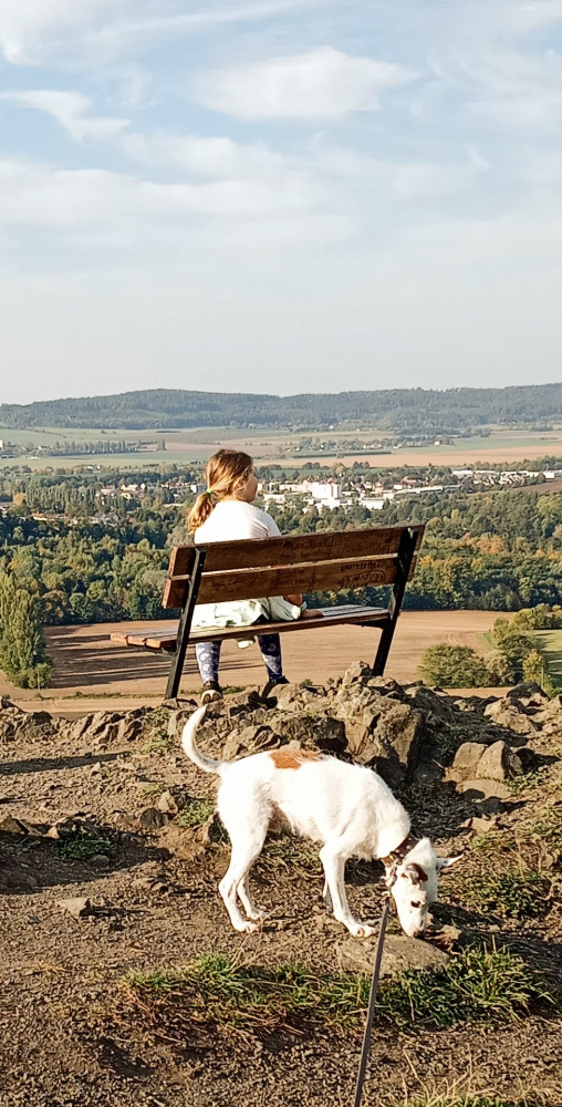 Anna Petrusová