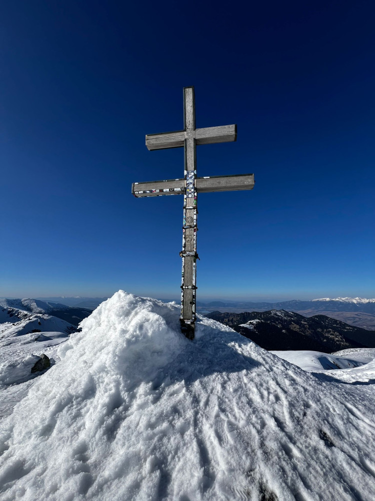 Ludmila Suchánková