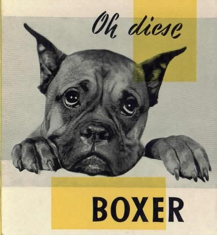 Žaneta Boxer