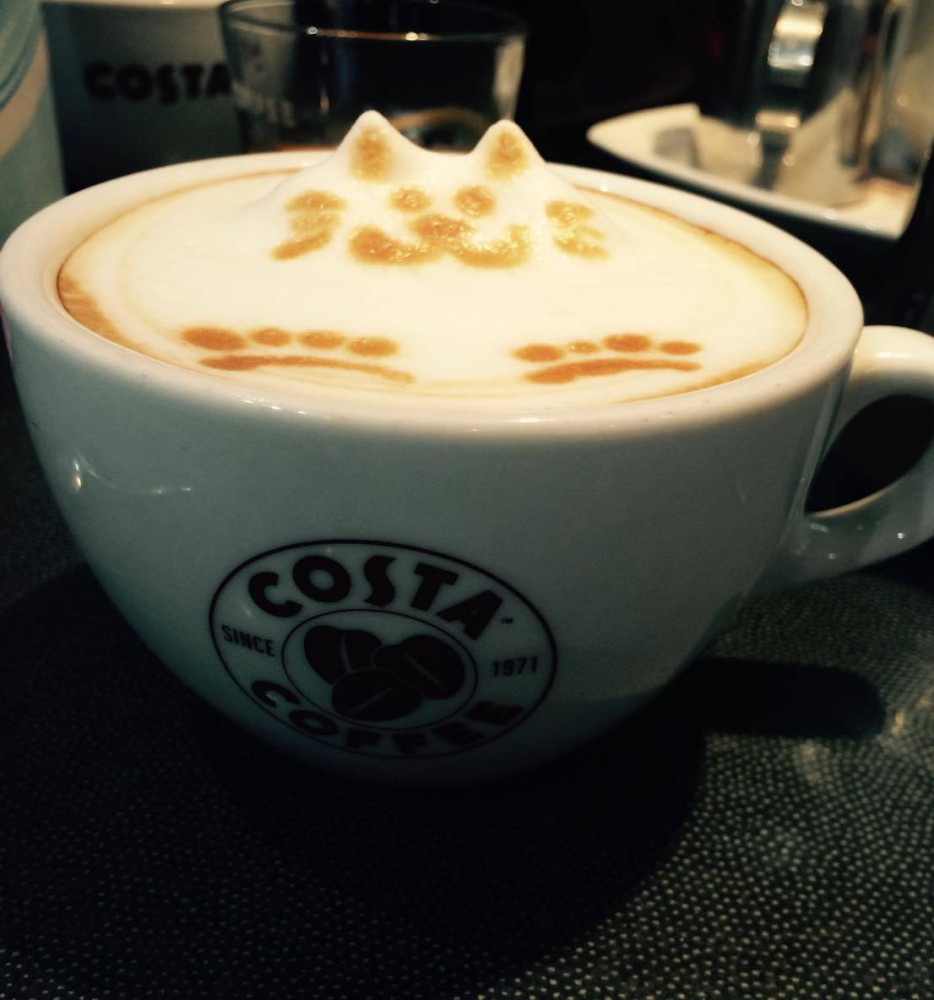 Costa sever