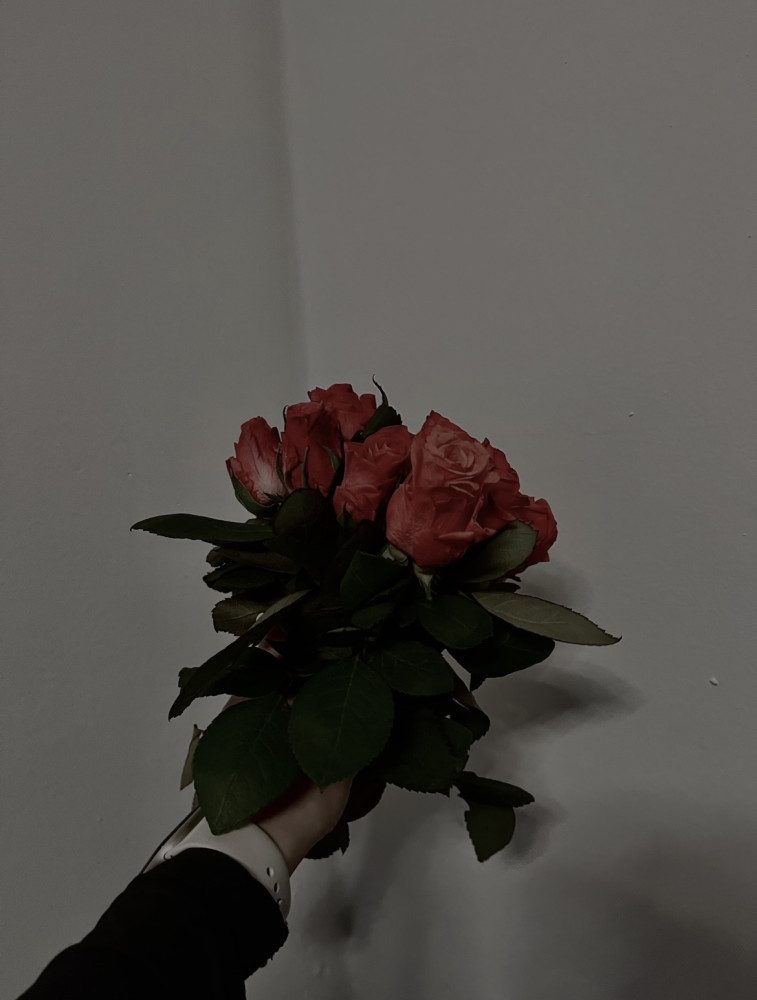 Vanesa Varhaníková