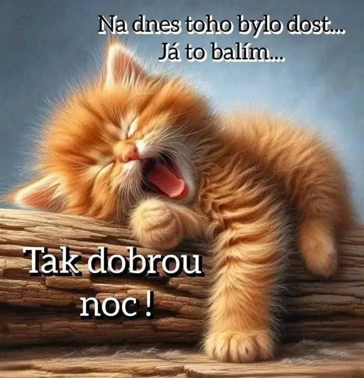 Ježkovy voči