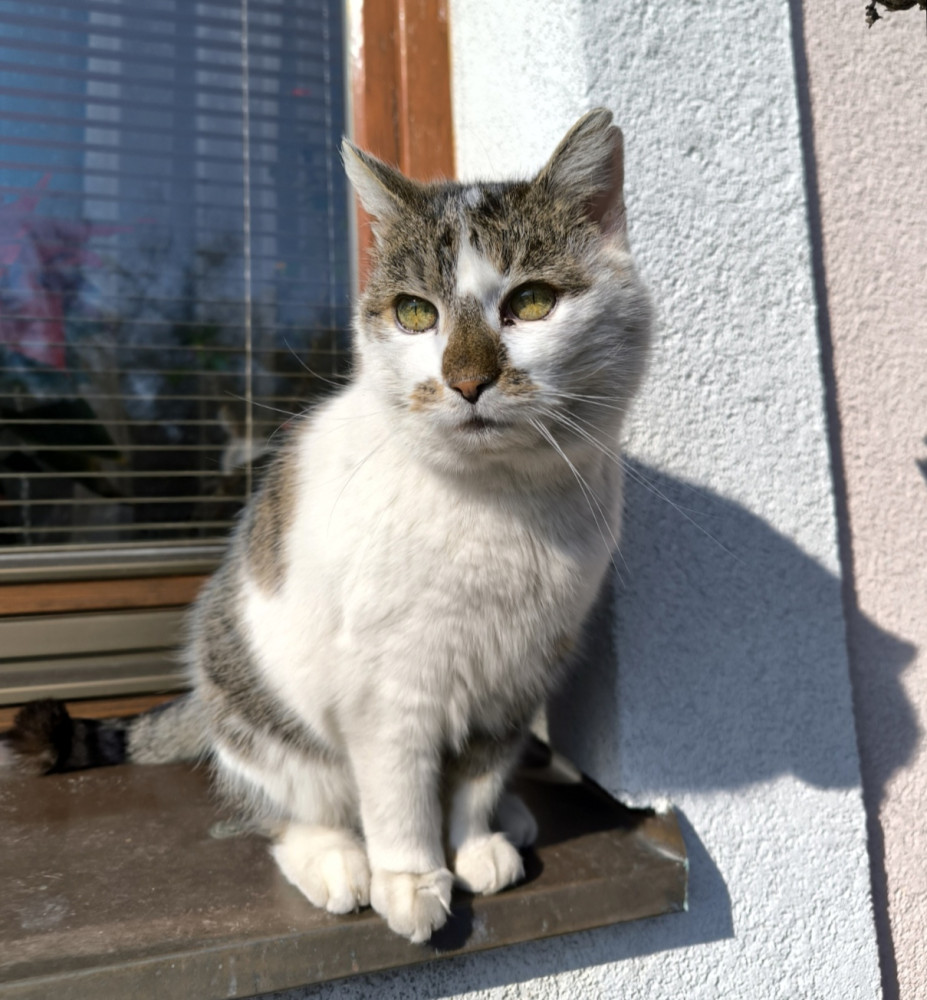 Pavlína Gajdušková