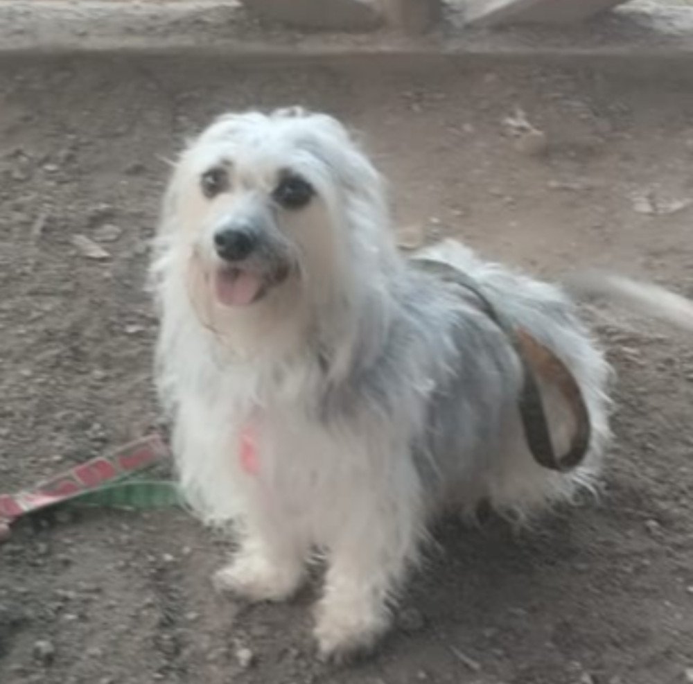 Káťa  Králíčková