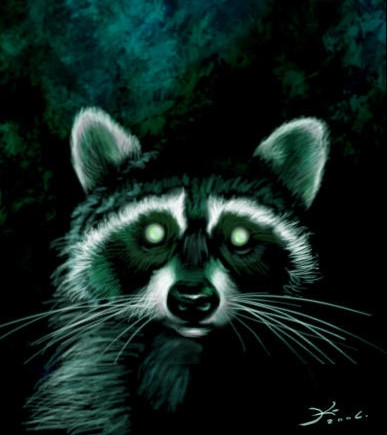 Shnilá Panda 🦝