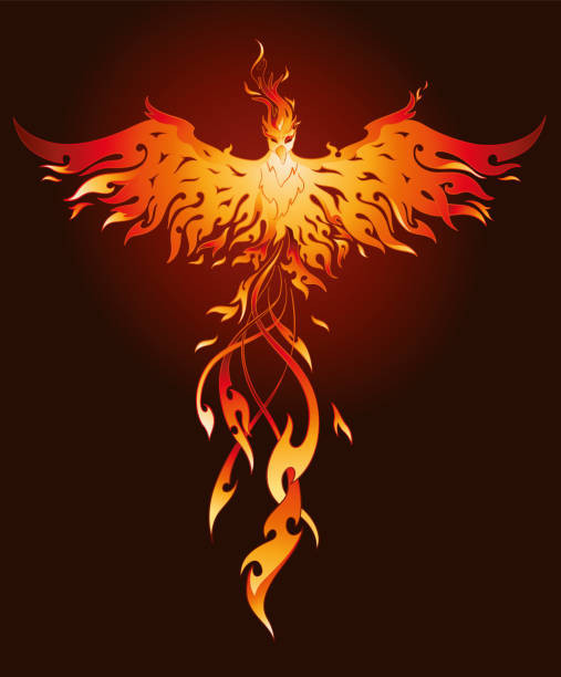 🐦‍🔥🐦‍🔥🐦‍🔥Fenix🐦‍🔥🐦‍🔥🐦‍🔥