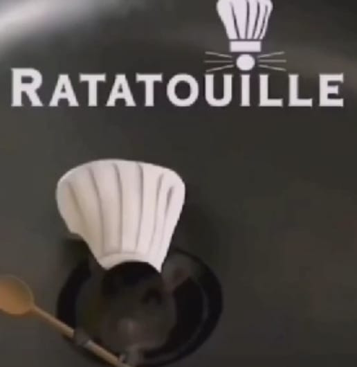 Ratatouille 🐀😽