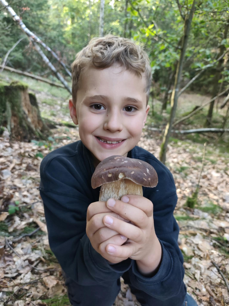 Tobias Samek
