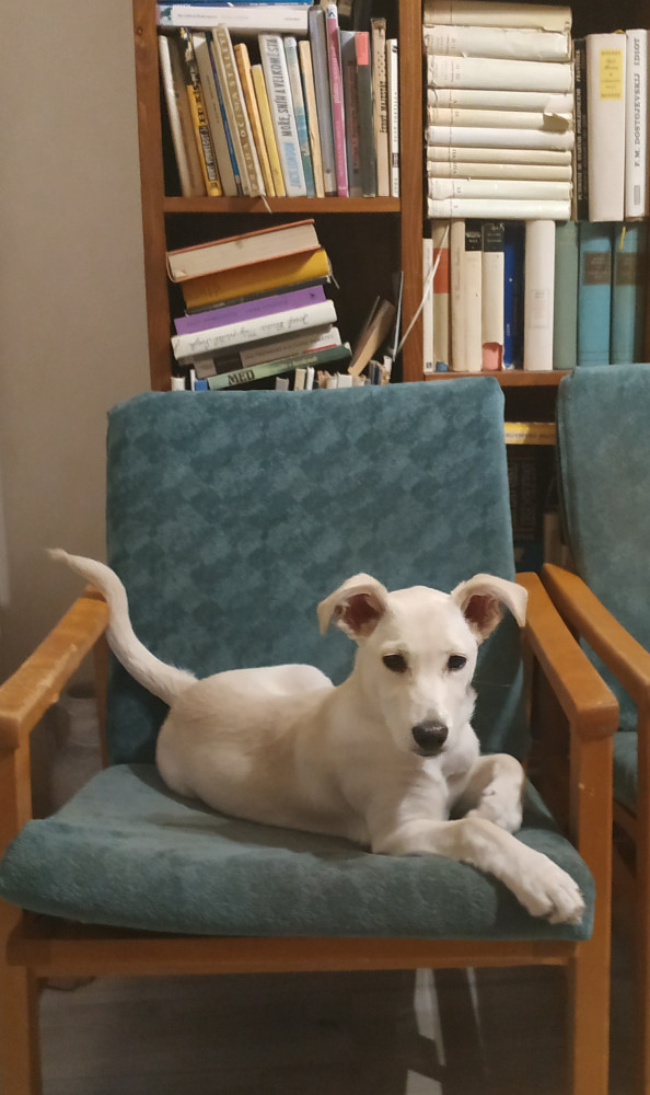 Veronika Effenberková