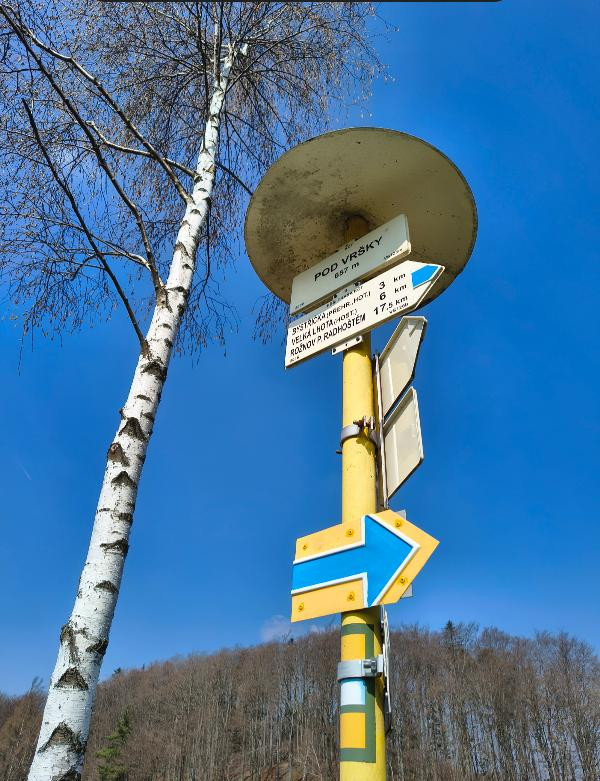 Pivci v pohybu