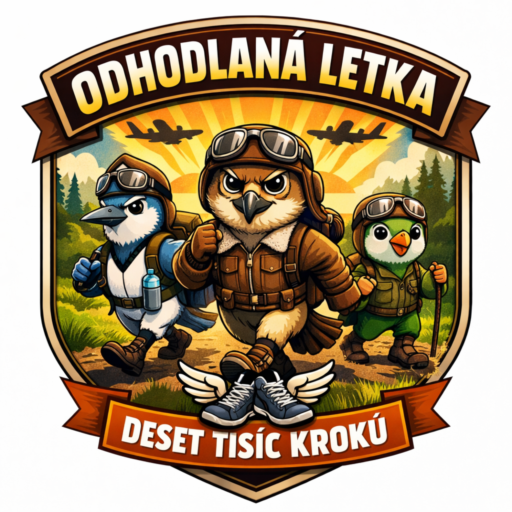 Odhodlaná letka