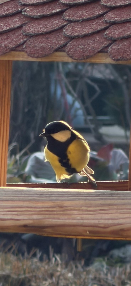 Taková normální rodinka +