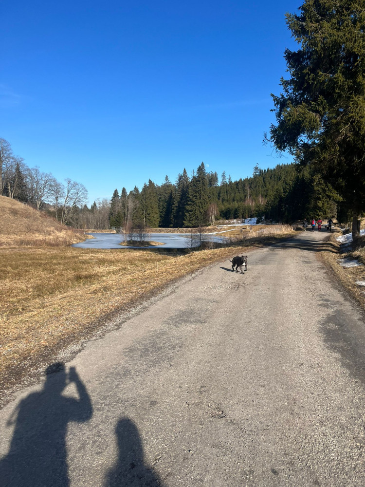 Bolavé nohy, plné srdce 👟♥️