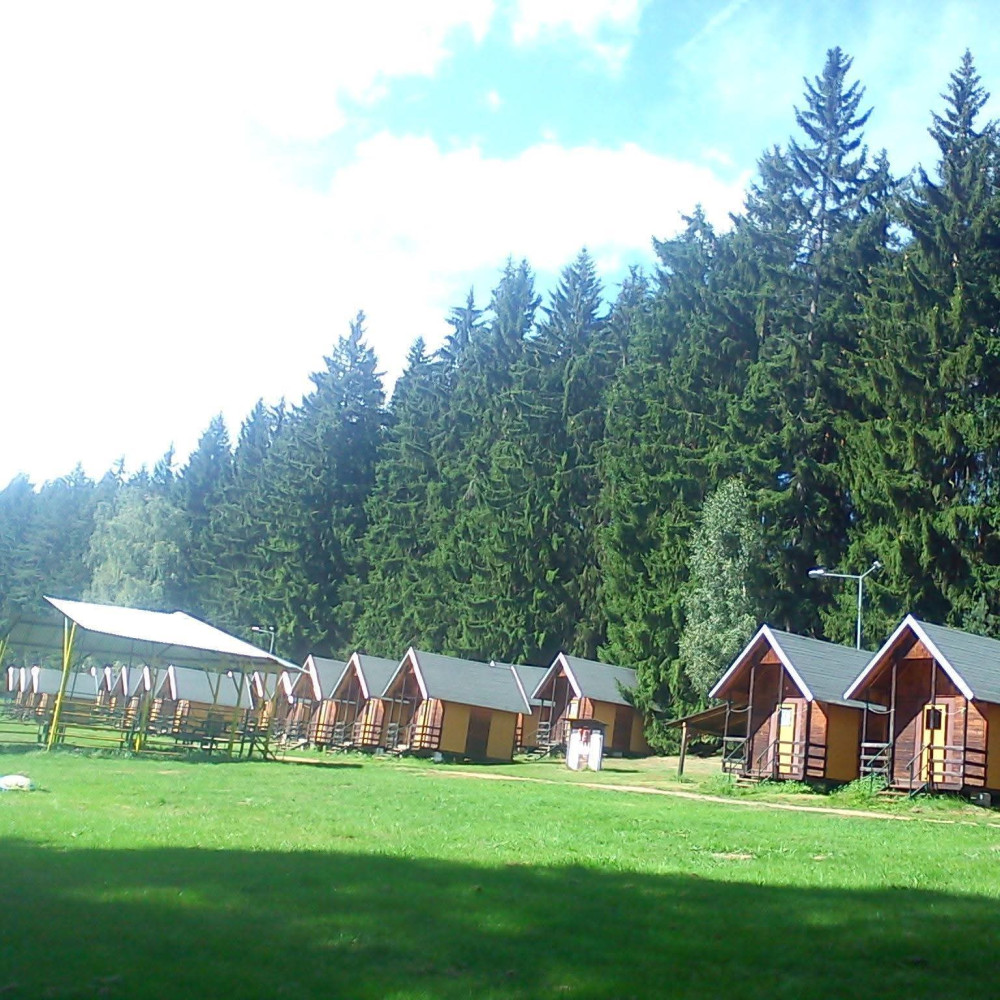 Bez-drůžice