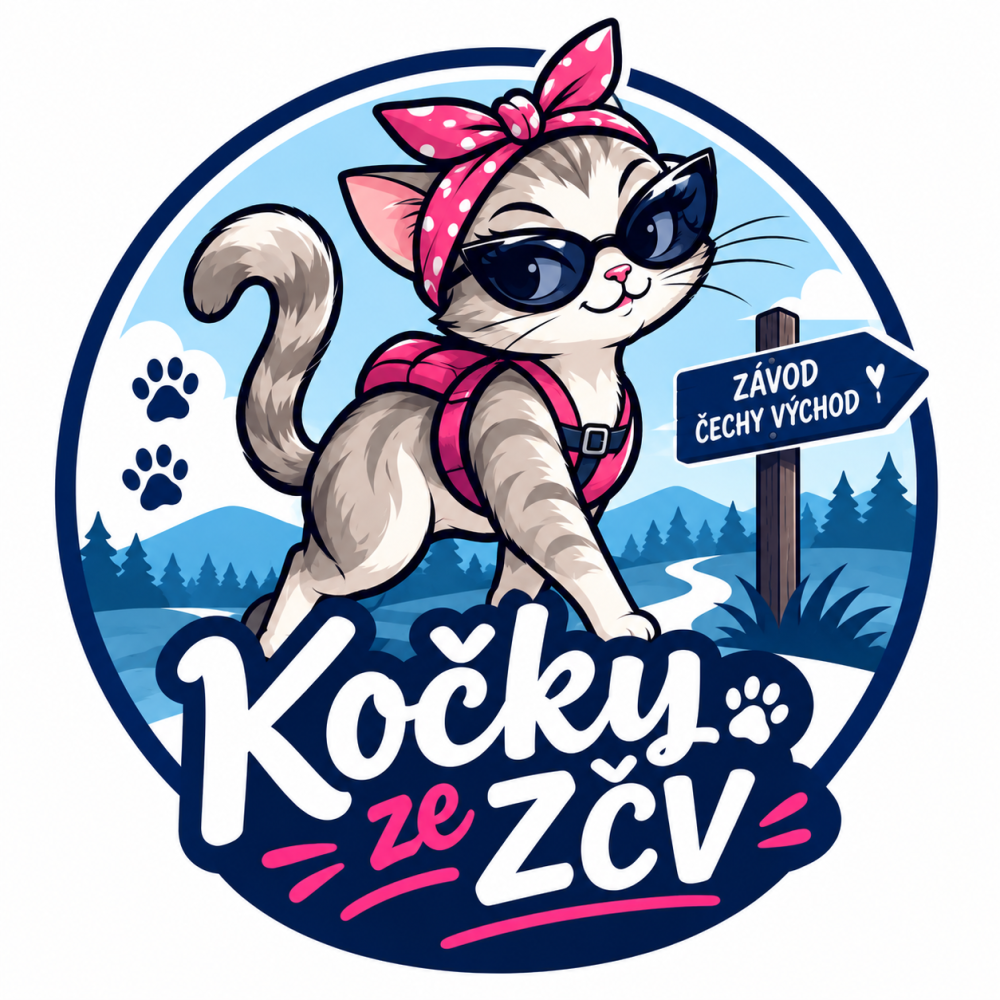 Kočky ze ZČV