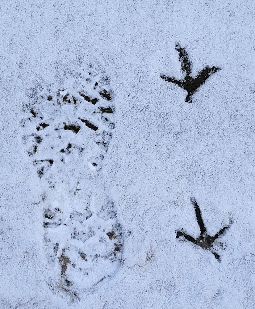 Správní zaměstnanci CMG