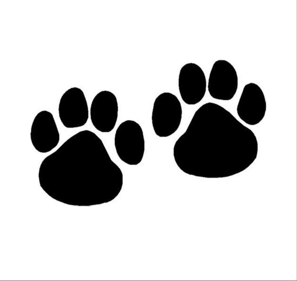 Úvalenští psi 🐾