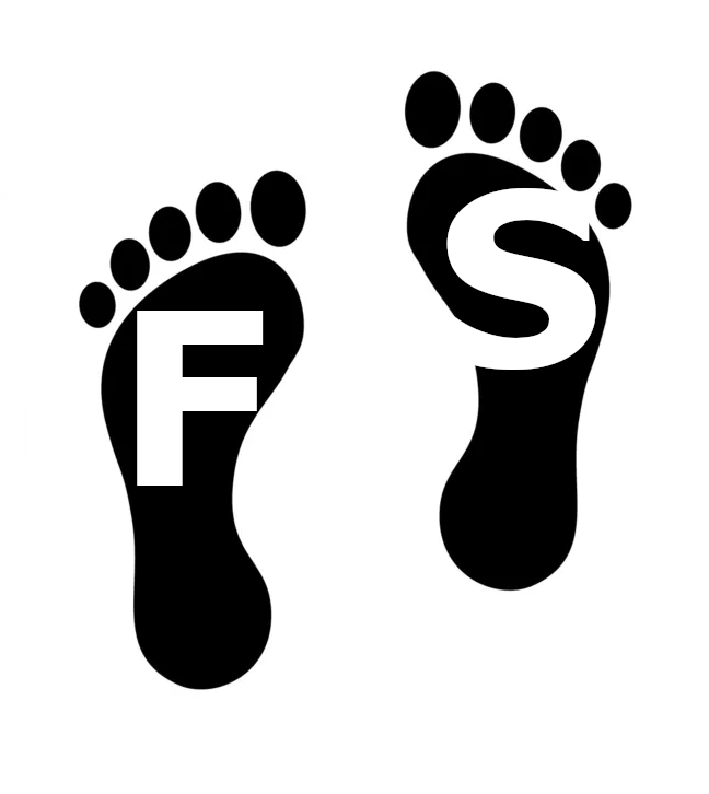 CS Family Steppers
