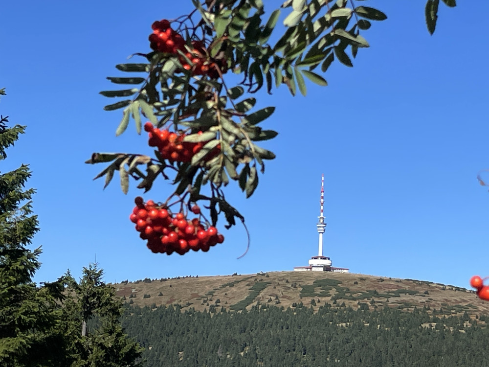 Zpestření 🚶‍♀️🚶🏃‍♀️🏃‍♂️