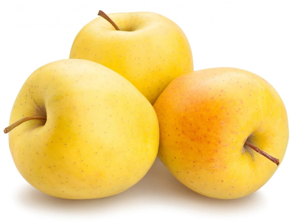 Sbírka jablek pro Tuchoraz (Golden Delicious)