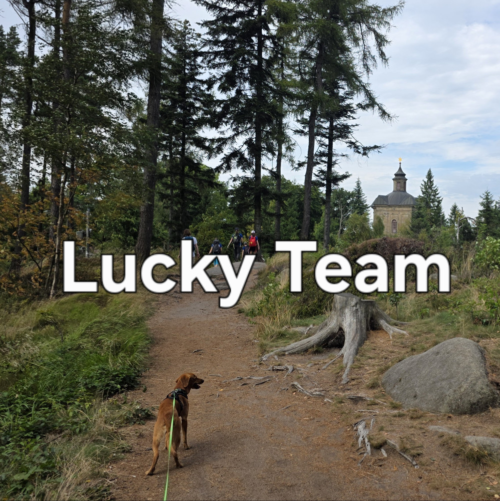Lucky Team