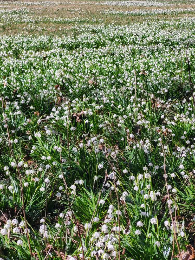 Stále chodíme 😃