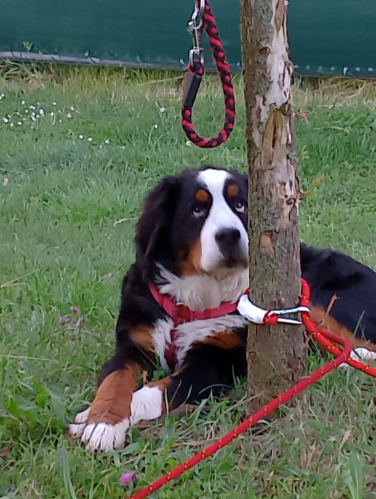 Šlapem za Dobříš