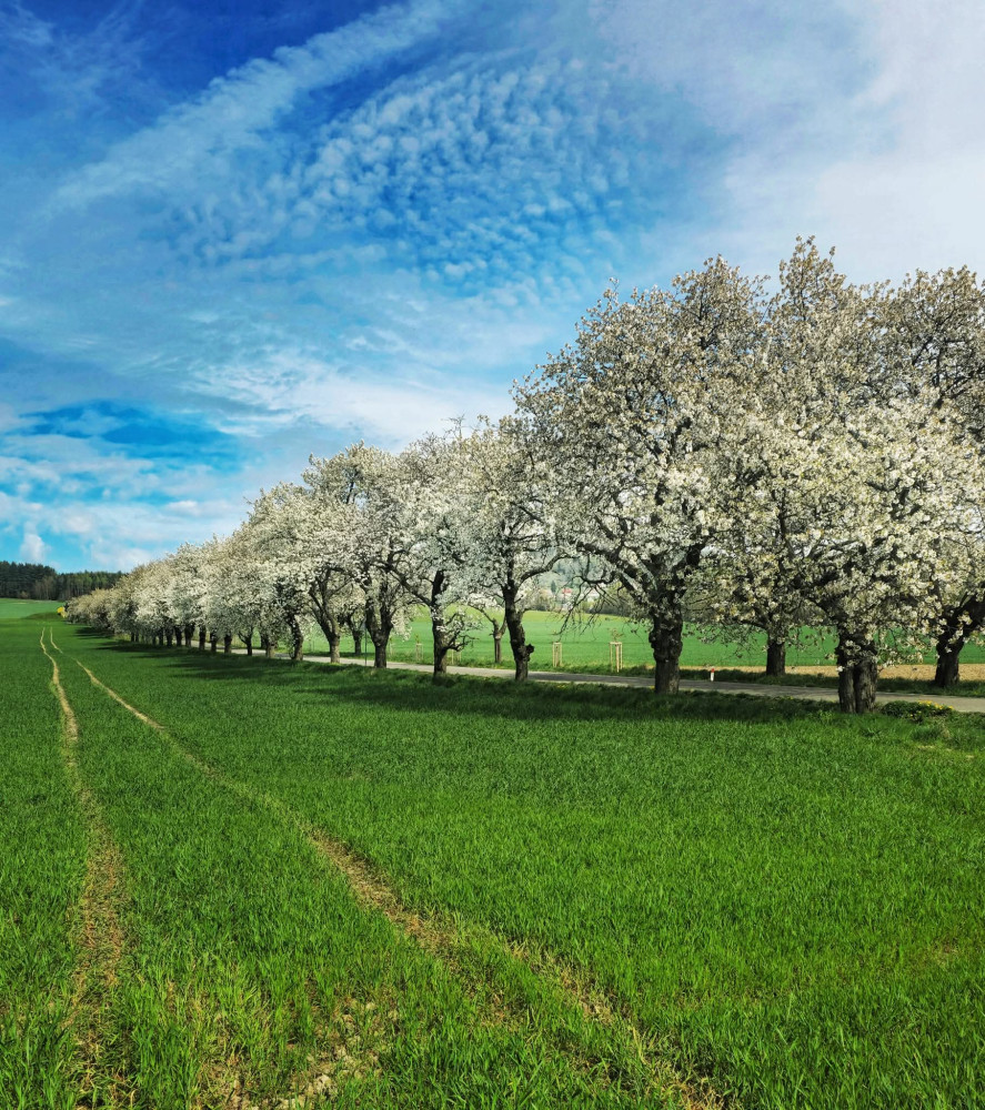 Voděradské šlápoty